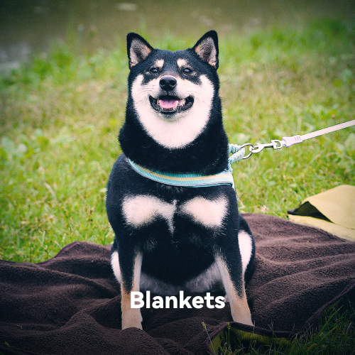 Blankets